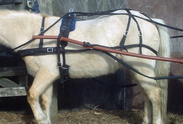 Lorien Driving Supplies - horse harness, pony harness,donkey harness